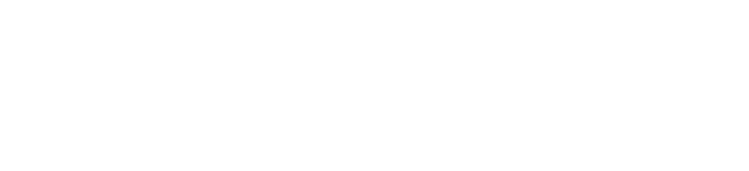 DentAnaliz